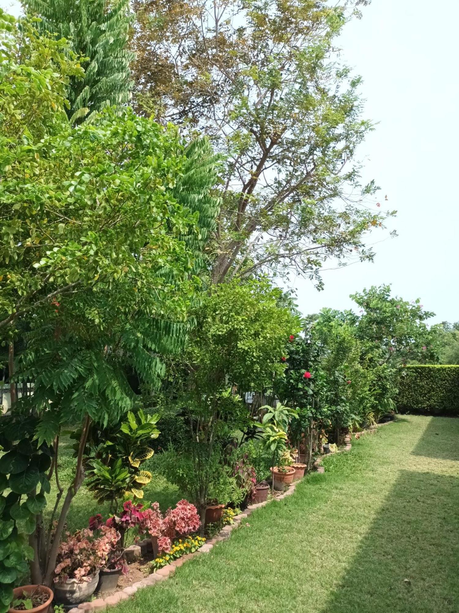 Ban Khan Leema สามร้อยยอด ภายนอก รูปภาพ